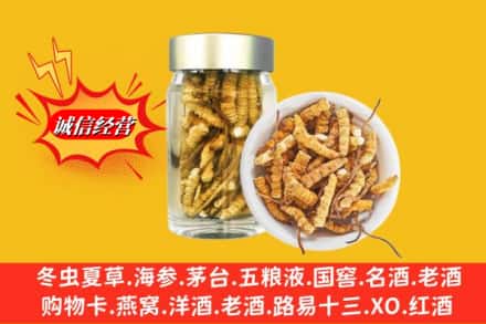 宜章县回收散虫草