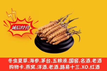 宜章县名酒回收冬虫夏草.jpg